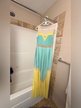 BCBG Max Azria Kathrine Pleated Color-Blocked Long Dress Size 10
